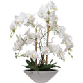 25" White Phalaenopsis Orchid in White Ceramic Boat Vase Realistic Silk Blooms